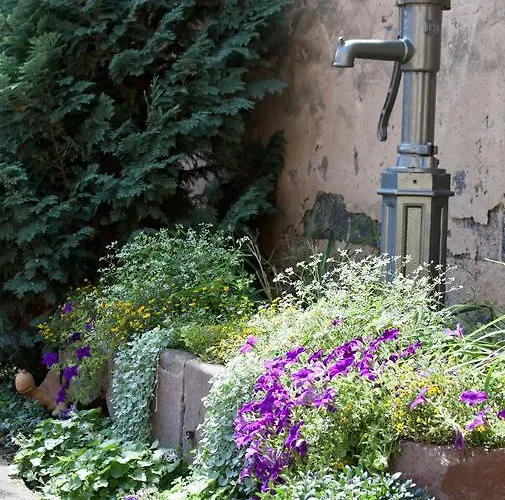 Hotel Linde Restaurant&hotel